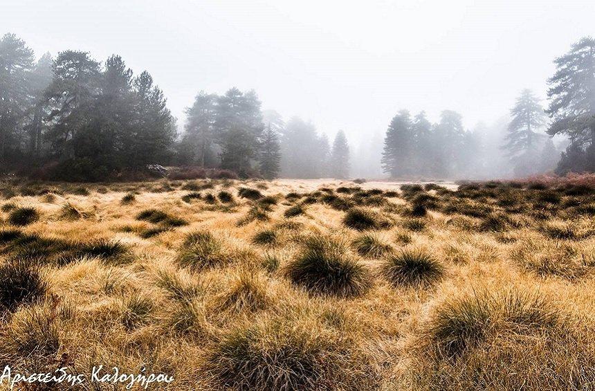 A magical landscape, hiding within the dense forest on Troodos mountains!