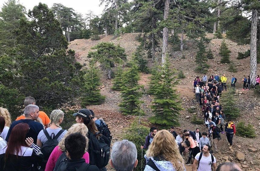 PHOTOS + VIDEO: A  ‘flaming river’ created by hundreds of people on the highest peak of Troodos!