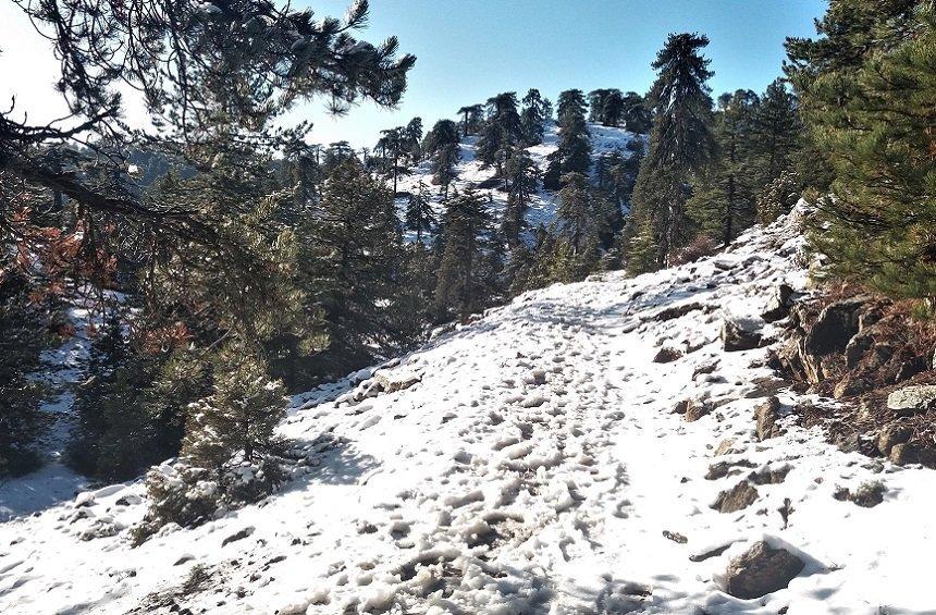 20 + 1 magical images from the snowy New Year's Day on Troodos!