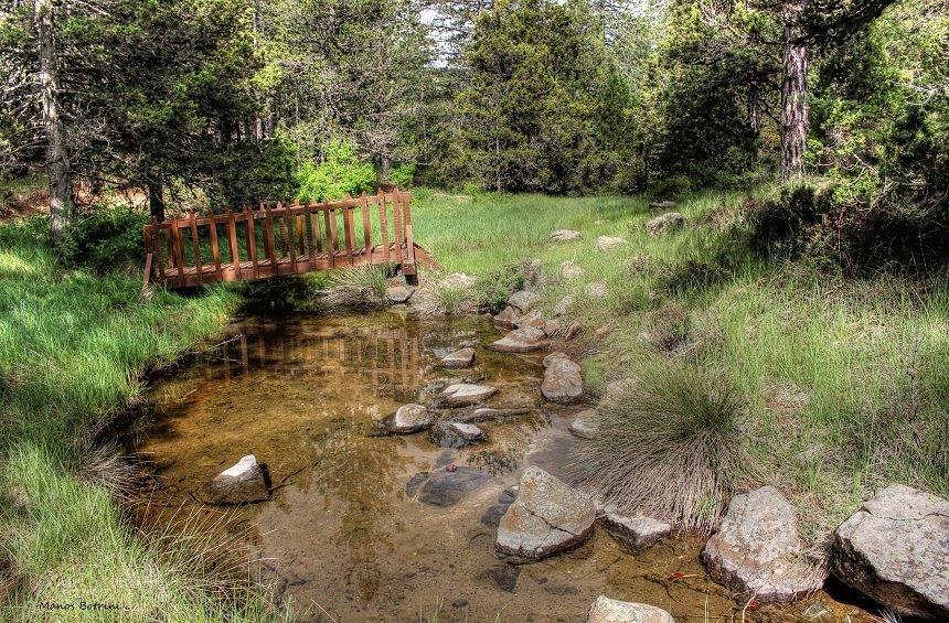 A magical landscape, hiding within the dense forest on Troodos mountains!