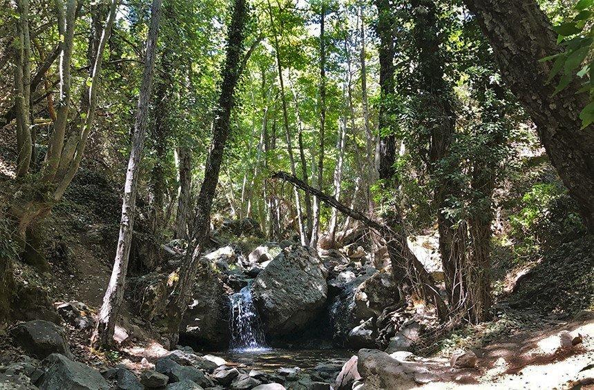 'Caledonia' Nature Trail (Platres)