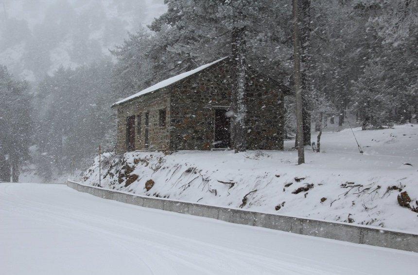 PHOTOS: The snowy slopes of Troodos of decades past!