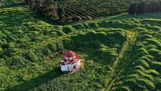 Photo: Cyprus from Air