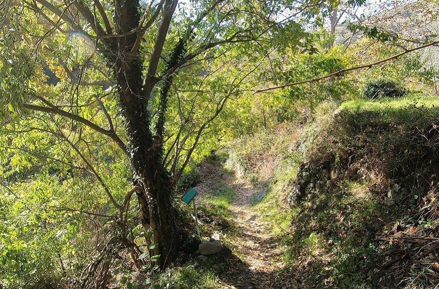 'Venetian Bridges' Nature Trails (Treis Elies)