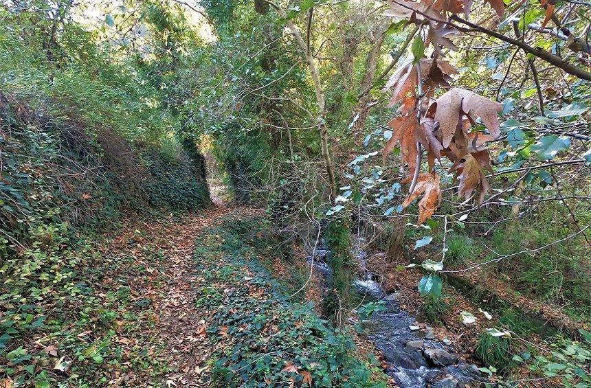 'Venetian Bridges' Nature Trails (Treis Elies)