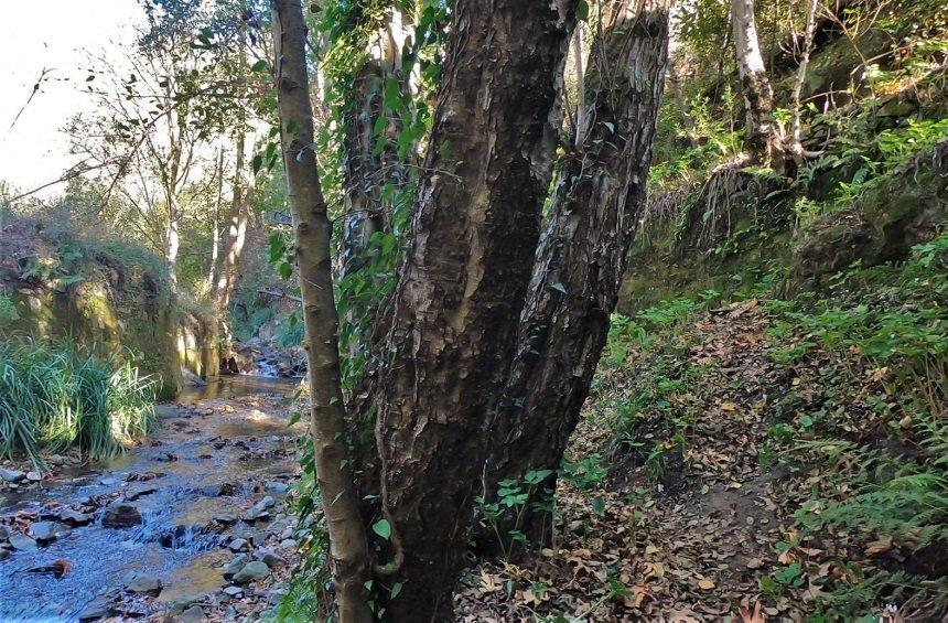 'Venetian Bridges' Nature Trails (Treis Elies)