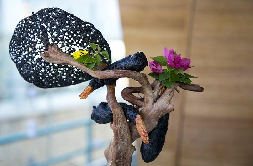Prawn bonsai: A surprising culinary experience in Limassol!