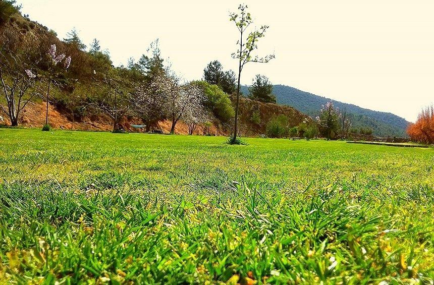 Something special is coming to Limassol's greenest slopes!