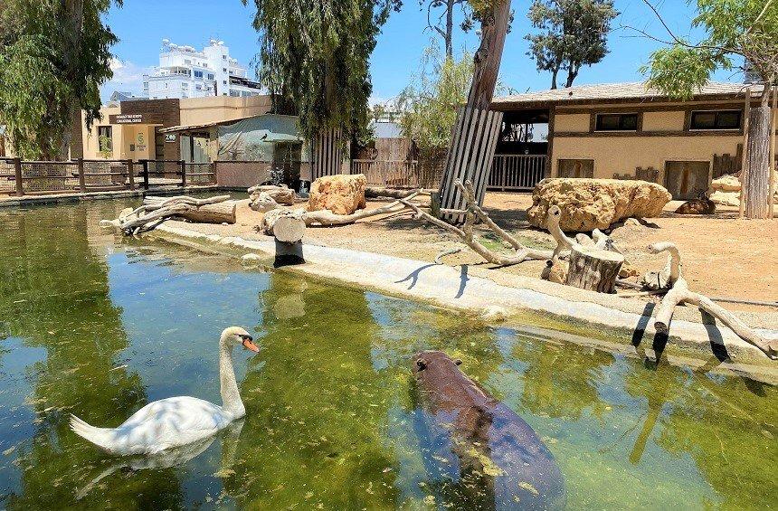 Limassol Zoo