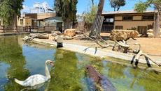Limassol Zoo