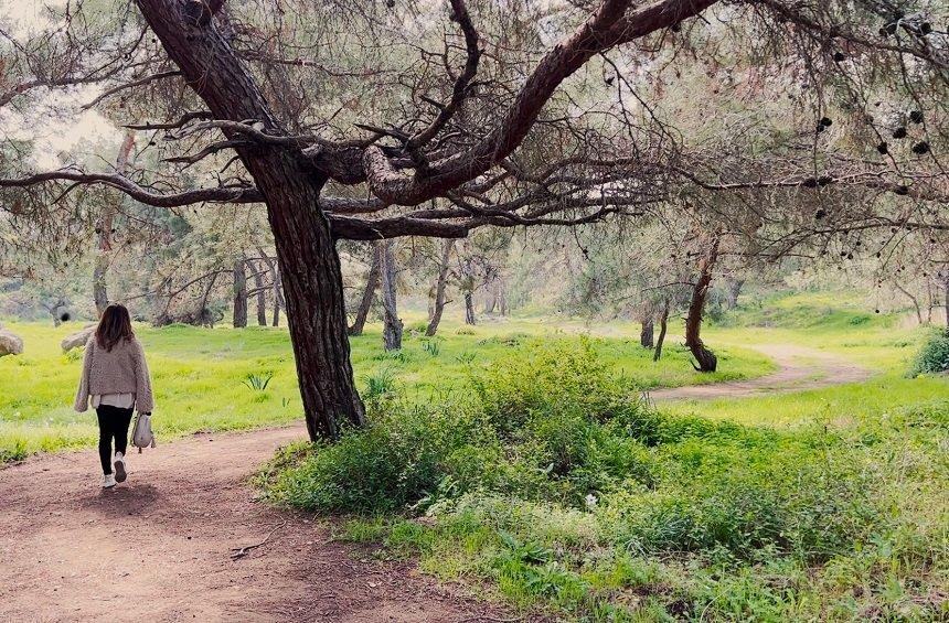 Genesis Aphrodite's Trail (Pissouri)