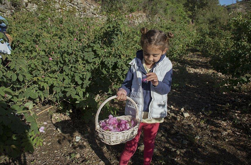 A Limassol village, where you wake up surrounded by roses!