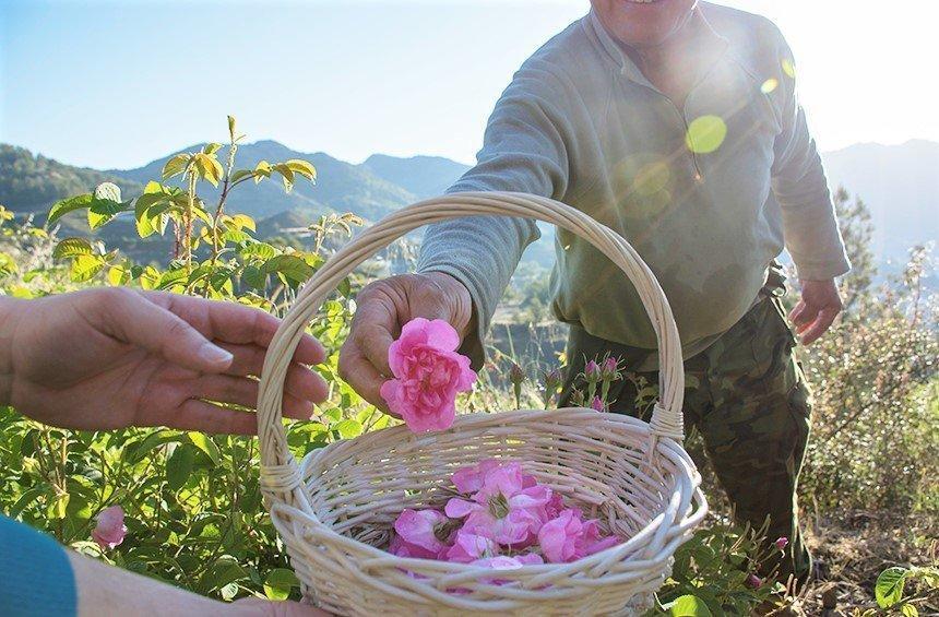 A Limassol village, where you wake up surrounded by roses!