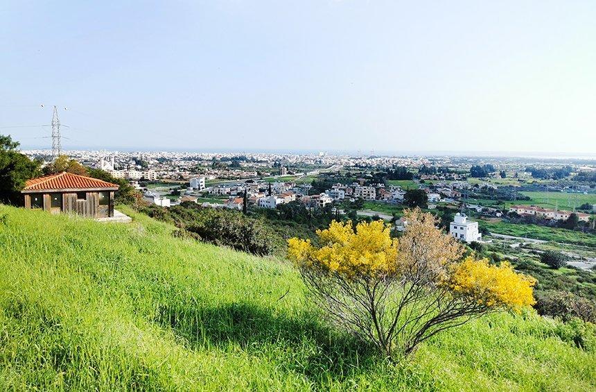 Kalevounari picnic site (Polemidia)