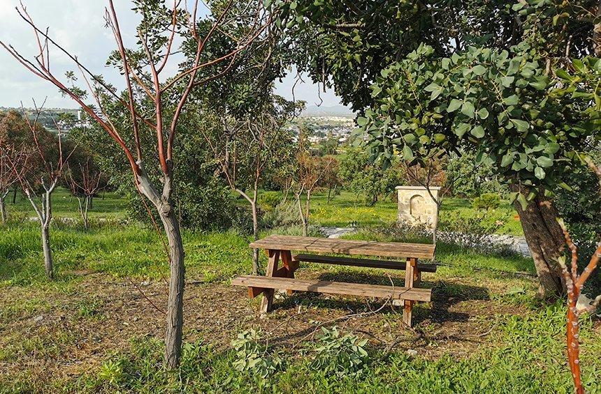 Kalevounari picnic site (Polemidia)