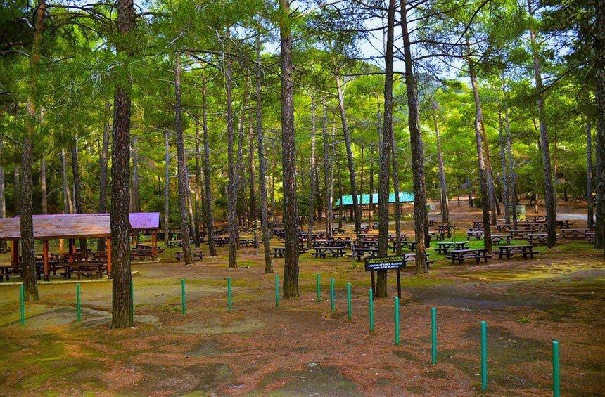 Kampi tou Kalogirou Picnic Site (Troodos)