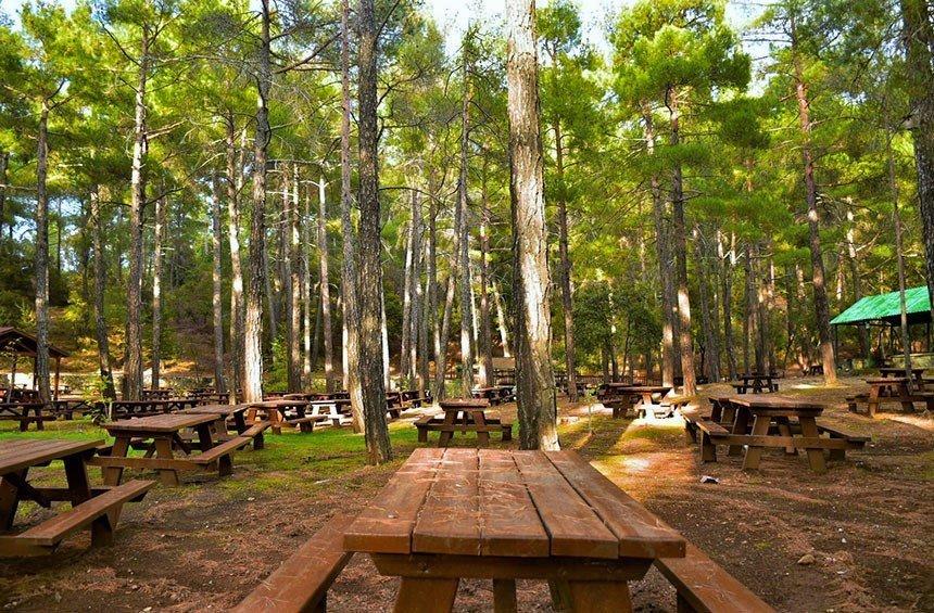 Kampi tou Kalogirou Picnic Site (Troodos)