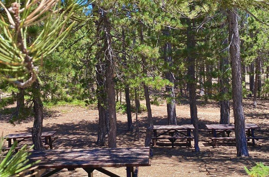 Kampos tou Livadiou Picnic Site