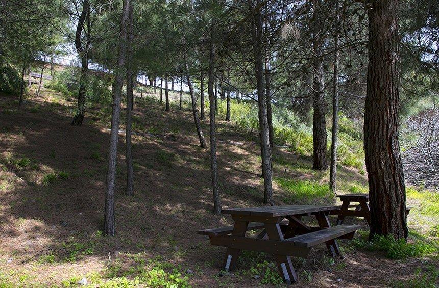 'Alonatzia' picnic site (Kato Mylos)