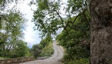 The headwaters at the entrance of the village.