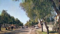 Makarios Avenue in the 1960s.