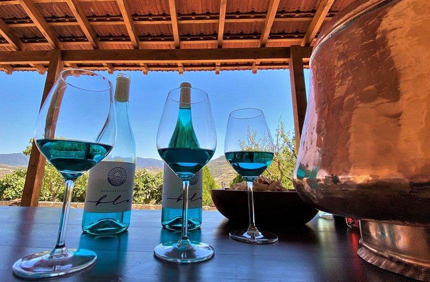Blue wine: An innovation that's changing the course of the tradition of wine!