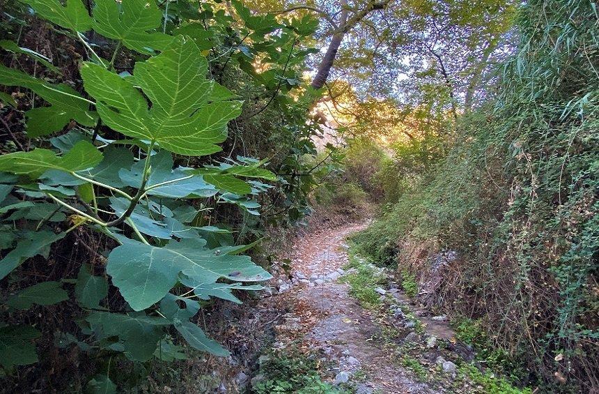 '6 fountains' Nature Trail (Arsos Village)