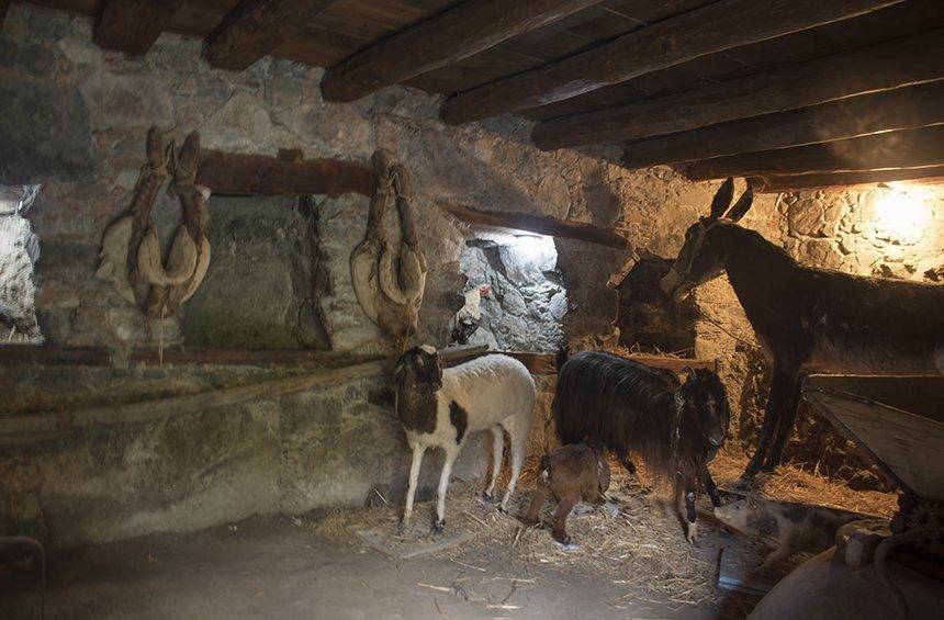 Museum of the EOKA Struggle of ’55 – ’59 (Kyperounda Village)