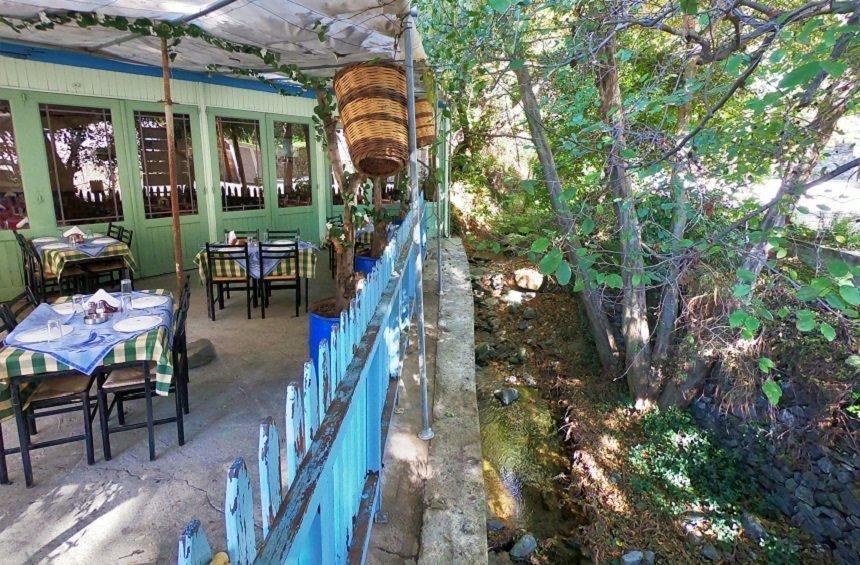 Neraida: A unique tavern in Limassol serving delicious dishes right by the river!