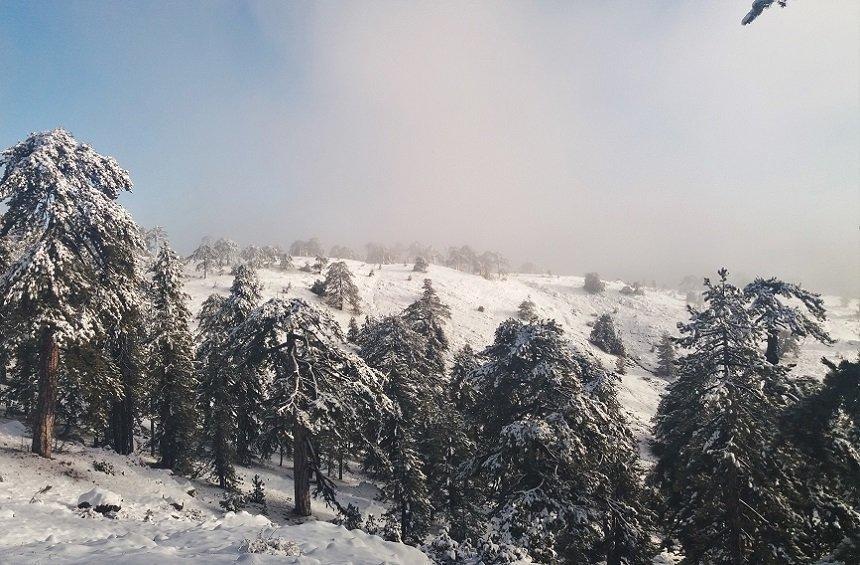 20 + 1 magical images from the snowy New Year's Day on Troodos!