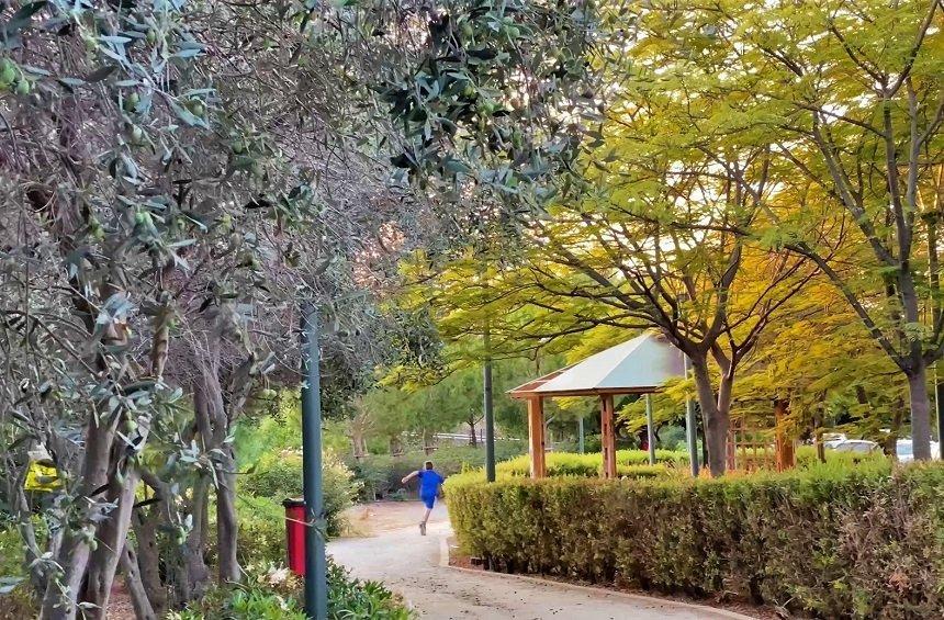 Garyllis Park (Kato Polemidia)