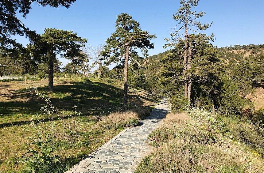 Troodos Square Trail