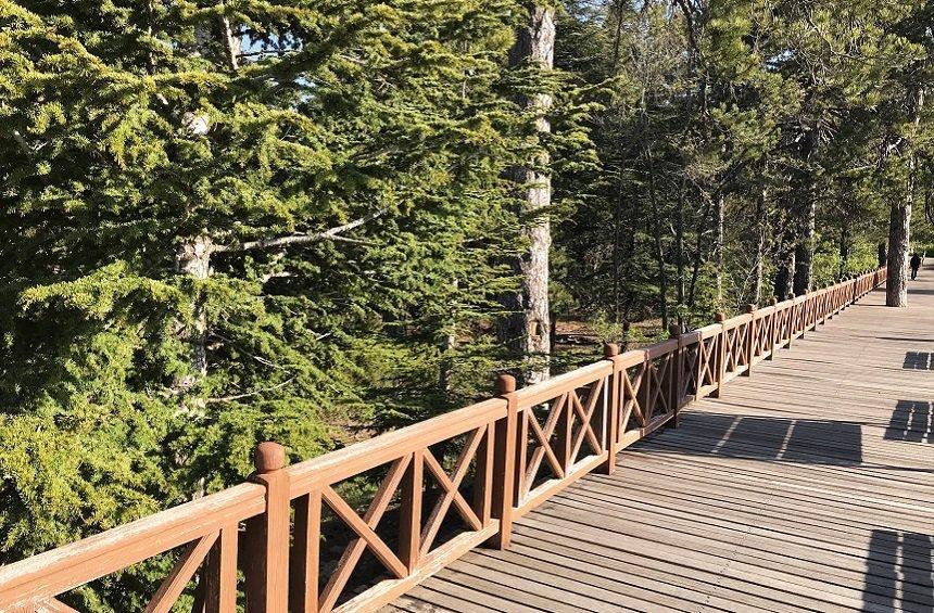 Troodos Square Trail