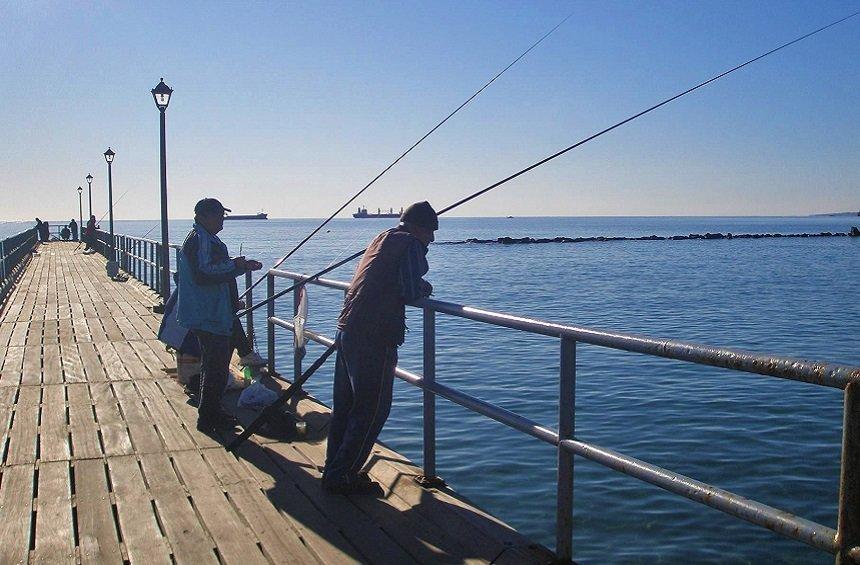 Fishing by the shore