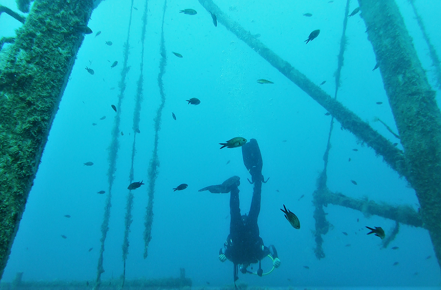 Scuba diving in the Limassol Marine Park