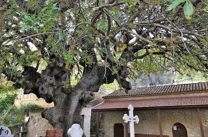 Church of Saints Sergios and Vachos (Kissousa)