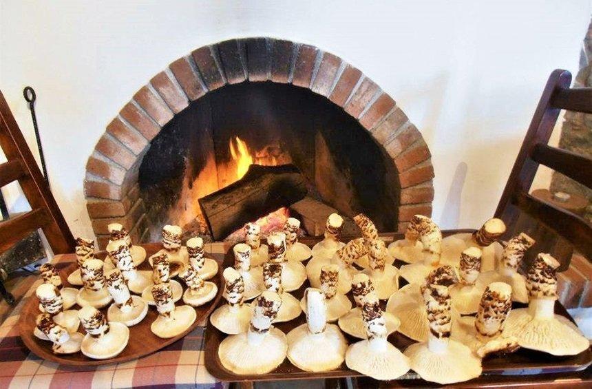 Mushrooms: A countryside tradition that has nurtured entire generations!