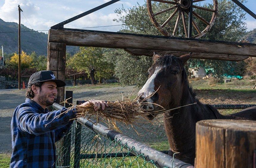 Giorgos now seems ready to take care of every detail, both in the tavern and the farm.