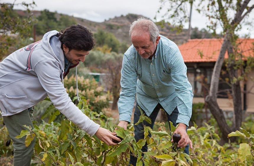 Symposio Tavern: Cypriot cuisine in the village, with fresh ingredients straight from the fields!