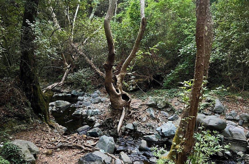 'Millomeris Waterfall' Trail (Platres Village)