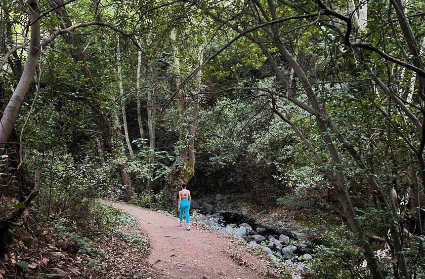 'Millomeris Waterfall' Trail (Platres Village)