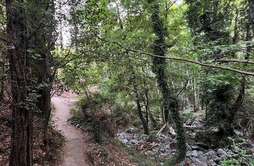 'Millomeris Waterfall' Trail (Platres Village)
