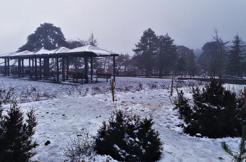 20 + 1 magical images from the snowy New Year's Day on Troodos!