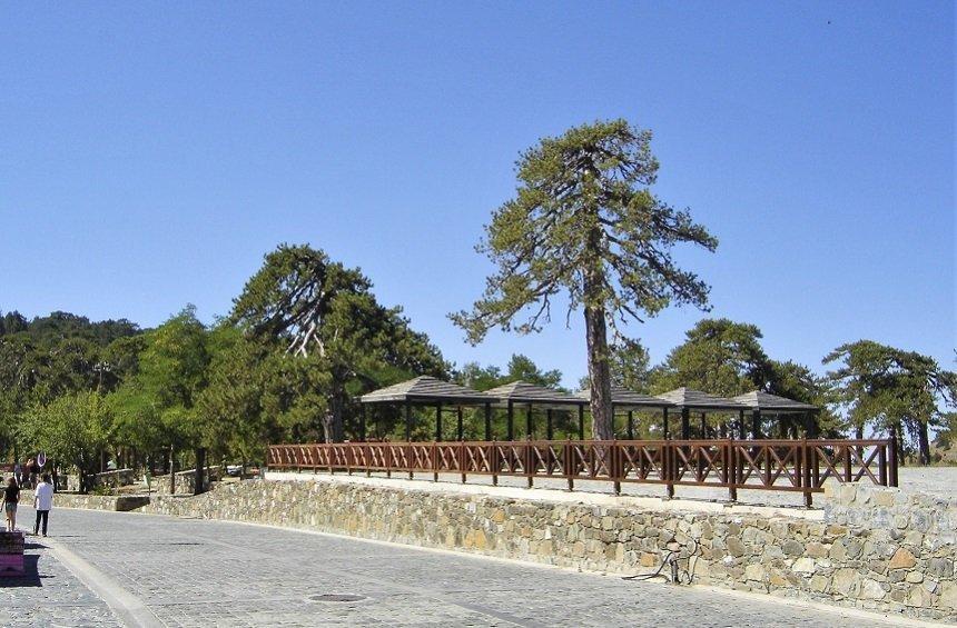 PHOTOS: A new image from the most popular landmark in Troodos!