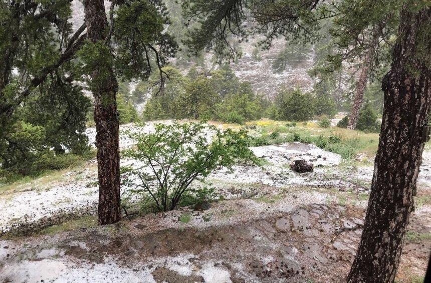 PHOTOS: Indeed, Troodos under a... white siege in the middle of May!