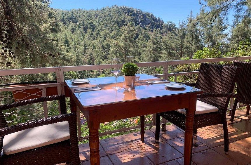 Veranda Restaurant: The restaurant with a unique view of the pine forest of Platres!
