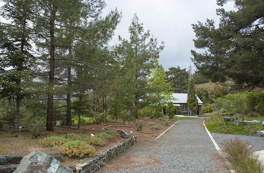 Troodos Botanical Garden