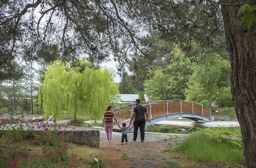 Troodos Botanical Garden