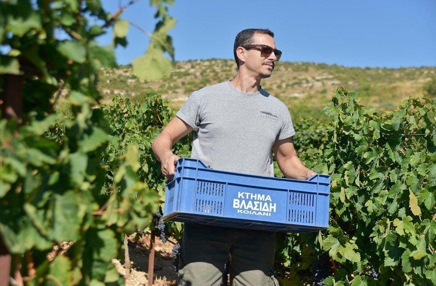 'S. Vlassides: The unconventional winemaker explains why he favored Limassol over California!