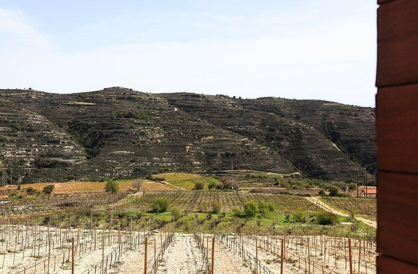 'S. Vlassides: The unconventional winemaker explains why he favored Limassol over California!